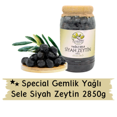 Gemlik Special Yağlı Sele Zeytin 2,85 Kg