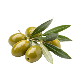 Yeşil Zeytin